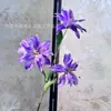 Flores Artificiales Vintage Lirios Pequeños Impresos en 3D en Azul y Morado para Accesorios de Fotografía de Bodas, Decoración del Hogar y Escaparates