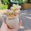 Plantas Pequeñas Suculentas Tejidas a Crochet de Lana Hechas a Mano, Lindos Adornos de Escritorio Simulados de Suculentas Que Nunca Se Marchitarán