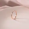 Anel Tendência Europeu e Americano de Aço Titânio Leve de Luxo Nicho Não Desbota para Mulheres, Simples Anel de Cauda de Casal Ouro Rosa Acessório de Moda