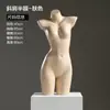 Soporte de Exhibición para Maniquí de Ropa Interior Maniquí de Medio Cuerpo Masculino Femenino Soporte para Maniquí de Sujetador Push Up Calzones Maniquí Accesorios para Fotografía Modelo de Pecho