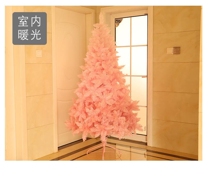 粉色樱花渐变树_07.jpg