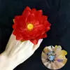 Danza Clásica: Entrando al Estanque de Lotos, Recogiendo Hojas de Loto, Flores de Loto, Frutos de Loto, Sosteniendo Accesorios, Anillos, Bandas Elásticas, Flores para Dedos y Muñecas