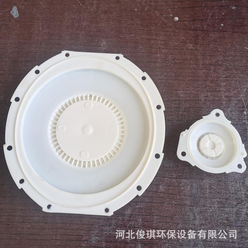 诺冠膜片 (4).jpg