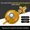 Válvula Redutora de Pressão à Prova de Explosão para Gás Liquefeito Válvula de Média e Baixa Pressão para Tanque de Gás Doméstico Válvula de Botijão de Gás para Fogão a Gás Aquecedor a Gás