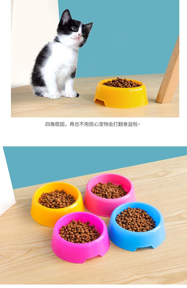 复制_糖果色宠物小圆碗 猫狗小食盆狗碗盆 狗狗.jpg