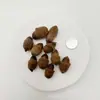 Bolotas Pequenas Pegajosas à Mão Flores Secas, Frutos de Avelã, Materiais DIY de Flores Secas, Frutos Peludos de Bolota com Capuz