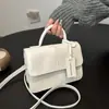 Bolso Pequeño de Diseño de Nicho para Mujer 2024 Invierno Nueva Moda Bolso Cuadrado Pequeño para Viajes Cotidianos Bolso de Hombro con Textura de Alta Calidad