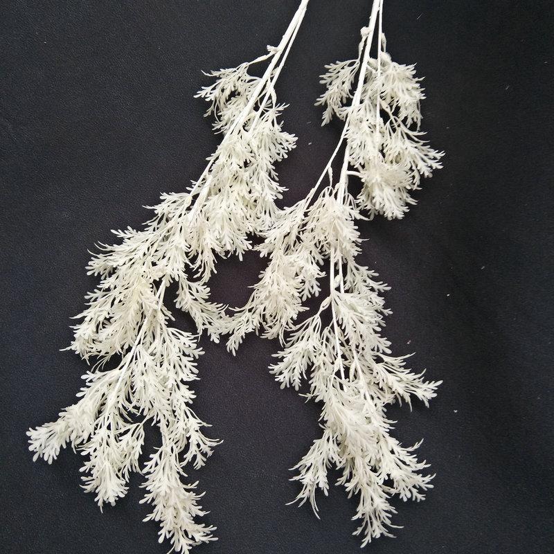 白色