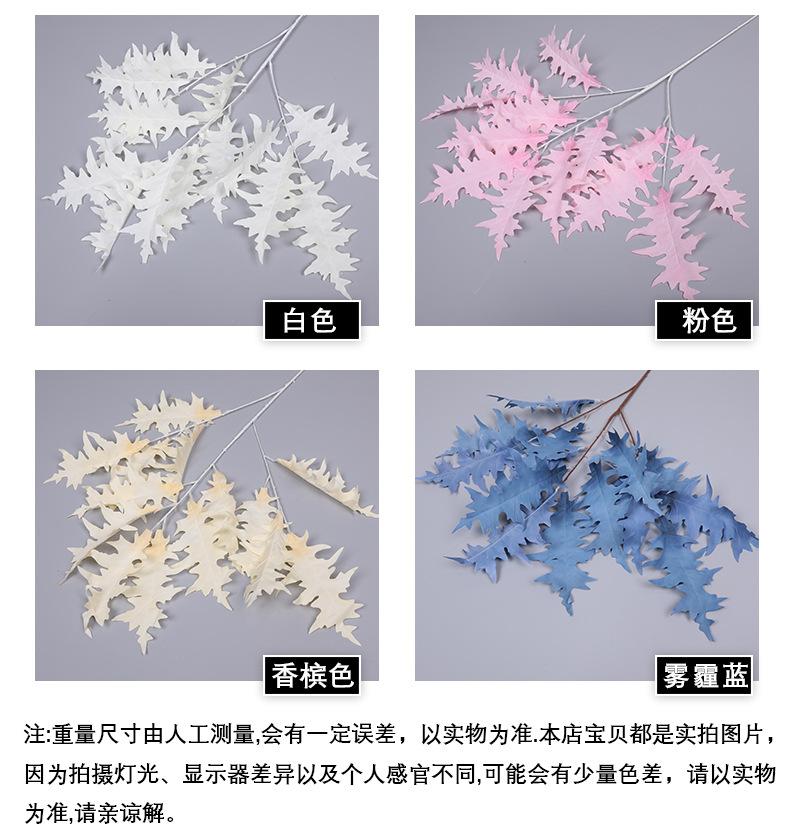 乔达_06.jpg