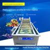Máquina de Lavagem a Bolhas de Frutas e Verduras, Equipamento de Limpeza de Frutas e Verduras, Máquina de Lavar Legumes Totalmente Automática para Dessalinização de Picles de Pimenta