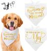 Amazon Wish Toalla de Saliva para Mascotas Transferencia de Calor Toalla Triangular con Logo Impreso Ecológica Bufanda para Gato y Perro con Impresión Ecológica