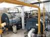 Caldera de Agua Caliente para Empresa de Cría Agrícola Siembra Combustible Gas Caldera Sin Presión Fácil Operación Instalación