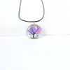 Colar Cruzado de Flores Secas, Plantas, Casca de Árvore, Corda, Pedra do Tempo, Pingente de Vidro Joias DIY