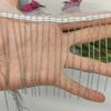 Cadena de cuentas de níquel blanco colgante unilateral de metal galvanizado con malla bordada a máquina de 6 cm, accesorios de encaje para barba de bufanda de boda