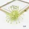 Flores Artificiales Plástico Aguja-Aguja Crisantemo Transfronterizo Más Vendido Caja de Flores Corona de Navidad Arreglo Floral Sombrero de Doctor Decoración DIY Crisantemo Pinza de Cangrejo