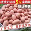 [Nuevo Precio de Cacahuates Crudos] 23 Años de Cacahuates Crudos Cultivados en Granja, Cacahuates Blancos Arenosos Frescos Descascarados al Mayoreo