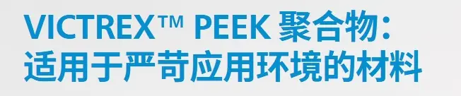 威格斯PEEK介绍