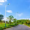 Farolas Exteriores Personalizadas Louis Hengsheng 3/4/5/6/7/ 8m para Carreteras Municipales, Súper Brillantes, Alimentadas por Red Eléctrica, para Proyectos Municipales