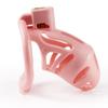 Dispositivo de castidad masculino con cerradura oculta, jaula para pájaros, ejercicio, anillo de bloqueo de pene CB, cerradura de castidad enrollada, abstinencia, juguetes sexuales para adultos.