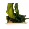 Kelp Salgado de Haste Curta Espesso Selvagem Fresco Seco Parcialmente 2,5kg Pacote