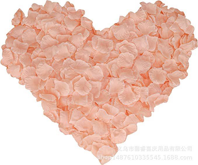 71vQv96+HwL._AC_SX679_