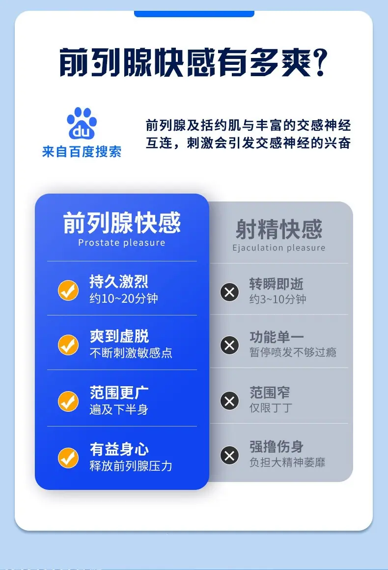 巴克、巴特、巴迪详情_03.jpg