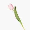Tulipa simulação buquê hidratante flores falsas atacado simulação planta decoração de mesa fotografia arranjo de flores decoração