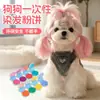 Pó de tinta de cabelo descartável para cães, blush para gatos de estimação, pasta especial para Lulu da Pomerânia e Bichon Frisé, somente atacado