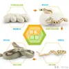 Juguete modelo de animal pequeño simulación ciclo de vida crecimiento rana tortuga pollo Montessori material didáctico preescolar venta al por mayor