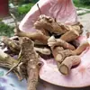 Lirio de Agua Amarillo Raíz Pura Productos Secos Cuerda de Guanyin Colgante Amarillo Wholesale Dropshipping