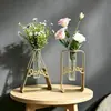 Florero de hierro forjado moderno, popular en línea, para decoración de pared de fondo de sala de estar, hidropónico, adorno para oficina y mesa de comedor