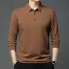 Estilo live-streaming camisa polo masculina de outono com estampa xadrez de abacaxi, alta qualidade, casual, gola dobrável, manga longa, top masculino em estoque