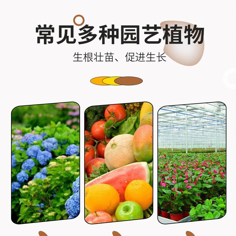 01-50ml-植物生根液--详情_06