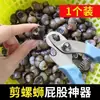 Item Quente do Tiktok Ferramenta de Corte de Parafusos para Caracóis, Máquina de Corte de Cauda de Caracol Antiderrapante, Removedor de Cauda de Caracol de Aço Inoxidável