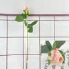 Tacto Hidratante rosa flor artificial flor artificial decoración de sala de estar flor decorativa de interior ramo de flor seca decoración floral