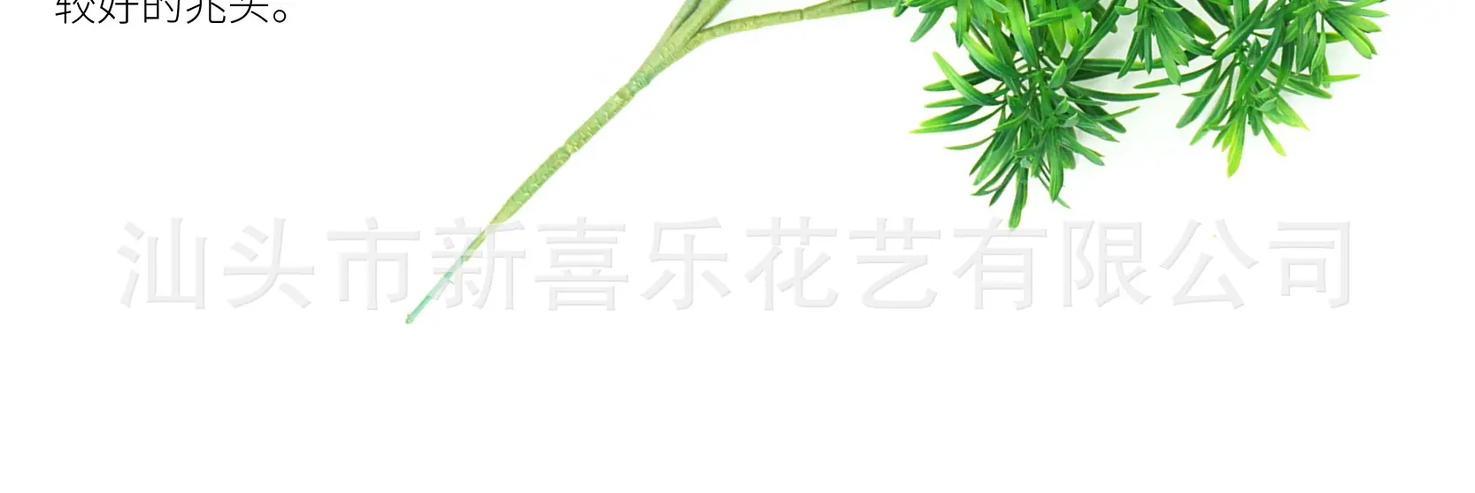 ]罗汉松详情页-09.jpg