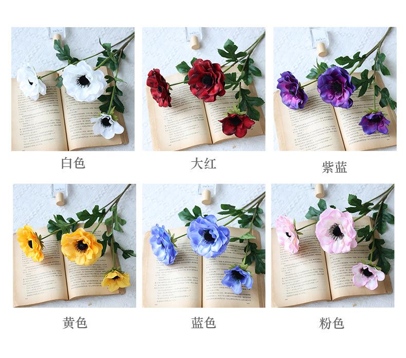 润玉银莲花_04.jpg
