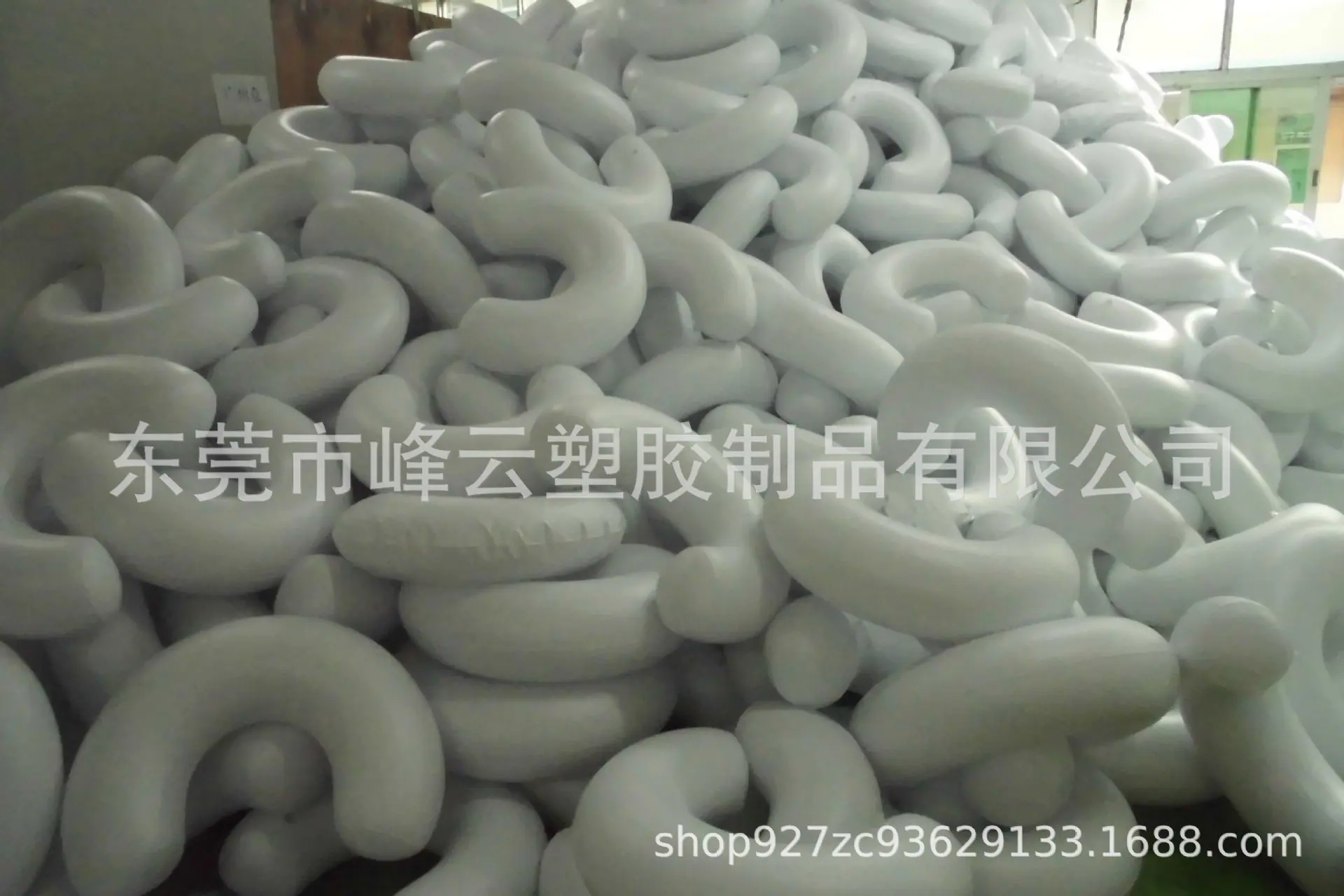 CIMG1529