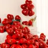 Boda globos de boda de doble capa diseño de habitación de boda de 10 pulgadas engrosados rojo granada decoración de boda suministros de boda