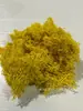 Musgo de Reno Preservado Flor Seca DIY Paisajismo Micro Paisaje, Botella Ecológica, Planta en Maceta de Vidrio, Cubierta de Suelo para Bonsái