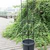 Zhixiao 11mm Soporte de Flores de Rosa Accesorios Estructura de Trepa Soporte Especial Colección Conector de Comercio Electrónico Nacional Anillo de Soporte de Flores