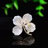 Nuevo Broche de Flor de Concha Natural, Corsage de Circonita de Microincrustación de Alta Gama, Accesorios Creativos y Elegantes