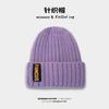 Chapéu de tricô feminino estilo coreano versátil que afina o rosto pequeno pulôver chapéu para o frio outono e inverno espessado quente protetores de ouvido bico fechado chapéu de lã masculino