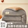 Manta gruesa de vellón de leche de doble cara, manta de franela para primavera/otoño, manta de vellón de cordero para invierno, núcleo de manta para dormitorio, comercio electrónico transfronterizo