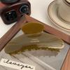 Horquilla Floral Estilo Francés de Ácido Acético Textura de Aire Caramelo Pinza Tiburón Pinza Polar Grande Estilo Coreano Estilo Perezoso Accesorios para el Cabello