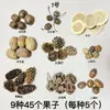 Fruta Fixa Natural Planta Fruta Casca Espécime Material Decoração Flores Secas Fatias Jardim de Infância DIY Pacote de Material de Natal