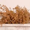 Pasto Amante Eterno fábrica de Yunnan mayoreo pasto amante pasto Cristal flor eterna flor seca ramo de rosas accesorios caja de regalo