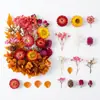Atacado de Flores Secas do Fabricante, Acessórios para Velas Artesanais Personalizados, Decorações para Presente de Dia dos Namorados, Flores Naturais, Materiais DIY de Flores Eternas