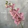 Decoración de Mesa Escandinava de Falenopsis de 9 Cabezas Impresa en 3D Película Floral de Boda Flor Artificial de Falenopsis Accesorios para Fotografía
