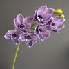 Simulación de silicona de algodón 6 Cymbidium Phalaenopsis Orquídea Luz de lujo Modelo de casa Habitación Hotel Decoración de boda Fotografía